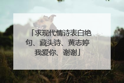 求现代情诗表白绝句、藏头诗、黄志婷我爱你、谢谢