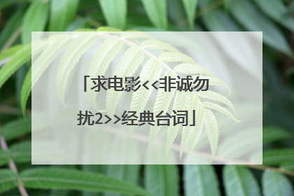 求电影<<非诚勿扰2>>经典台词