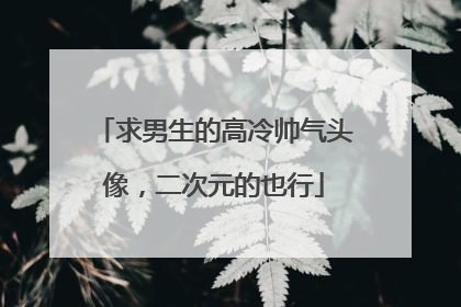 求男生的高冷帅气头像,二次元的也行