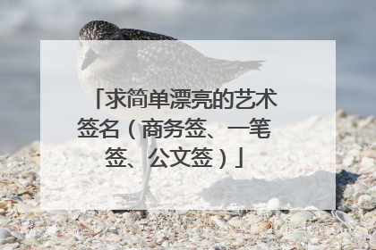 求简单漂亮的艺术签名(商务签、一笔签、公文签)