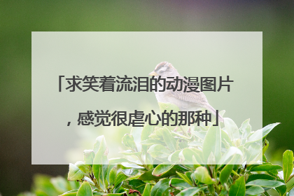 求笑着流泪的动漫图片,感觉很虐心的那种