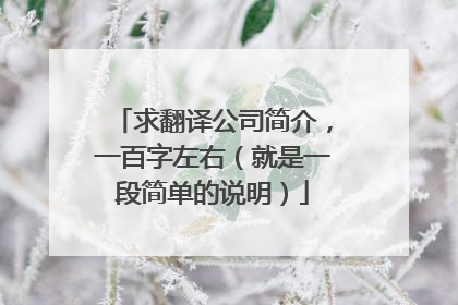 求翻译公司简介,一百字左右(就是一段简单的说明)