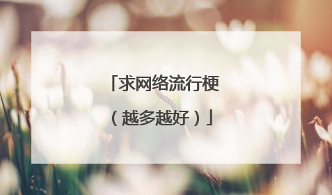 求网络流行梗（越多越好）