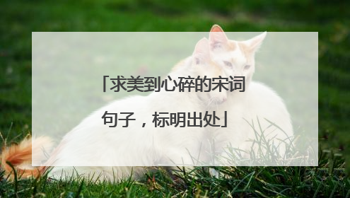 求美到心碎的宋词句子，标明出处