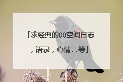 求经典的QQ空间日志,语录,心情..等