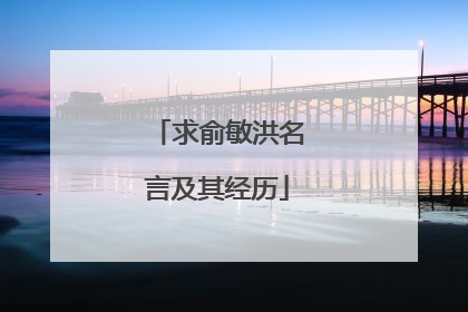 求俞敏洪名言及其经历