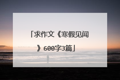 求作文《寒假见闻》600字3篇