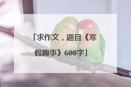 求作文,题目《寒假趣事》600字