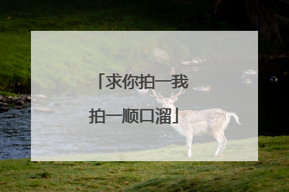 求你拍一我拍一顺口溜