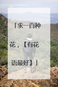 求一百种花,【有花语最好】