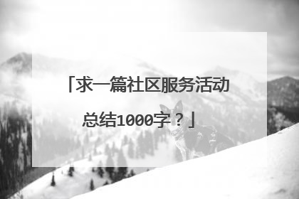 求一篇社区服务活动总结1000字？
