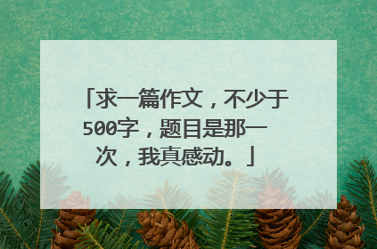 求一篇作文,不少于500字,题目是那一次,我真感动。