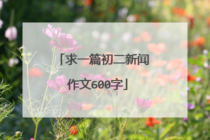 求一篇初二新闻作文600字