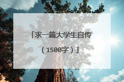 求一篇大学生自传(1500字)