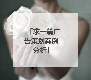 求一篇广告策划案例分析