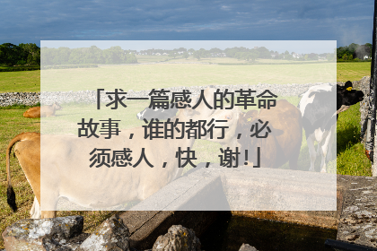 求一篇感人的革命故事,谁的都行,必须感人,快,谢!