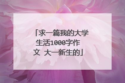 求一篇我的大学生活1000字作文 大一新生的