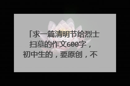 求一篇清明节给烈士扫墓的作文600字,初中生的,要原创,不要去网上搜的