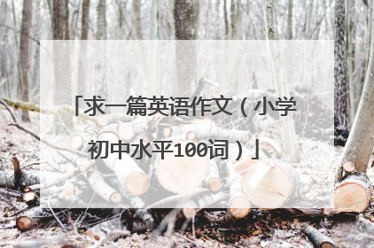 求一篇英语作文（小学初中水平100词）