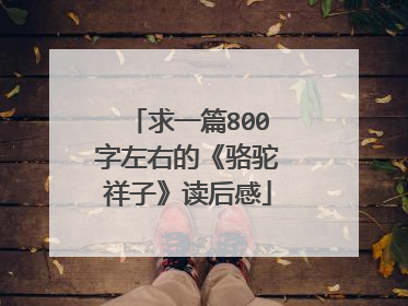 求一篇800字左右的《骆驼祥子》读后感