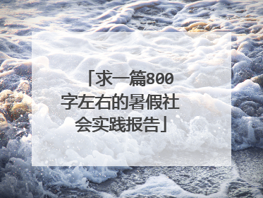 求一篇800字左右的暑假社会实践报告