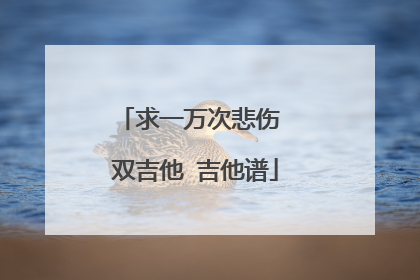 求一万次悲伤 双吉他 吉他谱