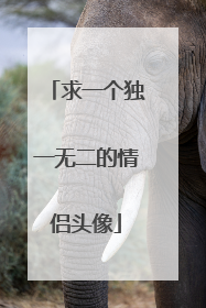 求一个独一无二的情侣头像