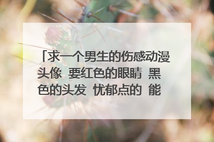 求一个男生的伤感动漫头像 要红色的眼睛 黑色的头发 忧郁点的 能表达出 悲伤 孤独之类的 谢谢了!