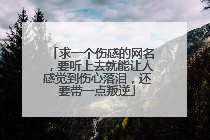 求一个伤感的网名,要听上去就能让人感觉到伤心落泪,还要带一点叛逆