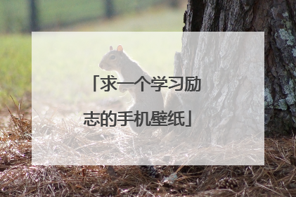 求一个学习励志的手机壁纸