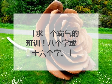 求一个霸气的班训!八个字或十六个字。