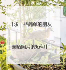 求一些简单的朋友圈晒照片的短句