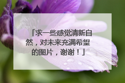 求一些感觉清新自然,对未来充满希望的图片,谢谢!