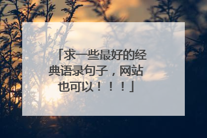 求一些最好的经典语录句子,网站也可以!!!
