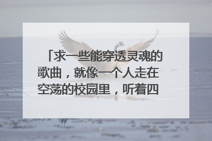 求一些能穿透灵魂的歌曲,就像一个人走在空荡的校园里,听着四面八方传来的声音,很震撼心灵的那种。