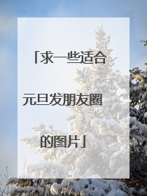 求一些适合元旦发朋友圈的图片