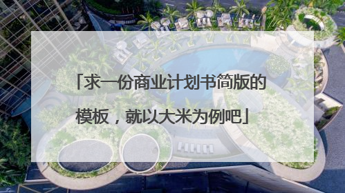 求一份商业计划书简版的模板，就以大米为例吧