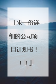 求一份详细的公司项目计划书!!!