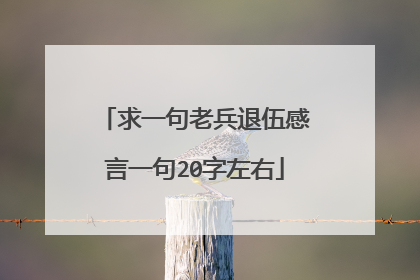 求一句老兵退伍感言一句20字左右