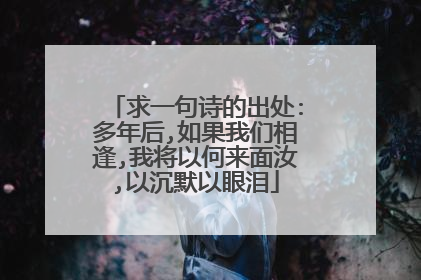 求一句诗的出处:多年后,如果我们相逢,我将以何来面汝,以沉默以眼泪