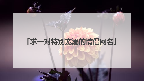 求一对特别宠溺的情侣网名