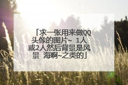 求一张用来做QQ头像的图片~ 1人或2人然后背景是风景 海啊~之类的