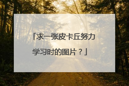求一张皮卡丘努力学习时的图片？