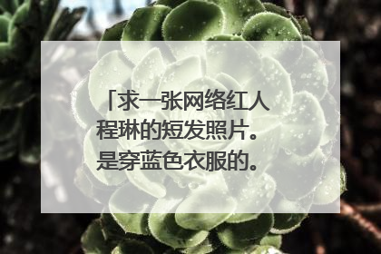 求一张网络红人程琳的短发照片。是穿蓝色衣服的。很学生的一张。