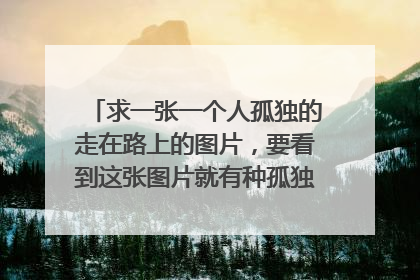 求一张一个人孤独的走在路上的图片，要看到这张图片就有种孤独之感，质量要清晰
