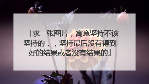 求一张图片,寓意坚持不该坚持的,,坚持最后没有得到好的结果或者没有结果的