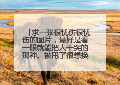 求一张很忧伤很忧伤的图片，最好是看一眼就能把人干哭的那种。被甩了很想换头像，求！求！！