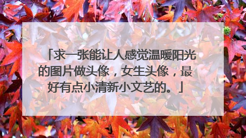 求一张能让人感觉温暖阳光的图片做头像,女生头像,最好有点小清新小文艺的。