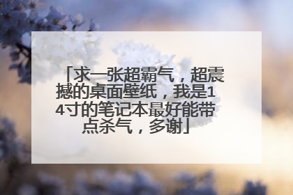 求一张超霸气，超震撼的桌面壁纸，我是14寸的笔记本最好能带点杀气，多谢