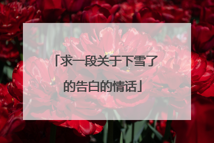 求一段关于下雪了 的告白的情话
